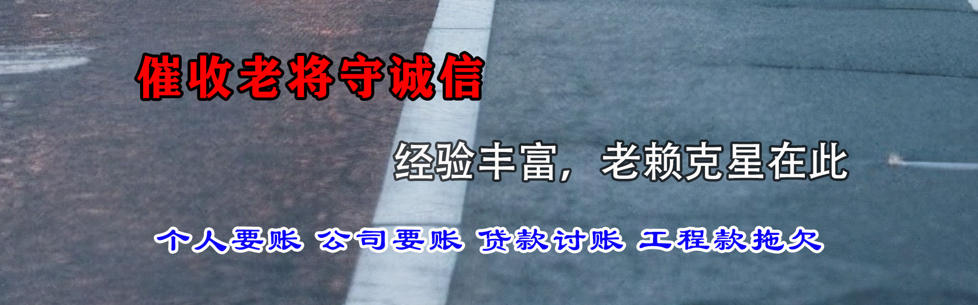 资源收债公司